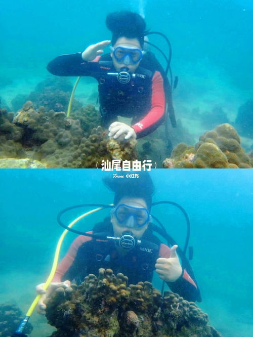 五一 汕尾红海湾潜水现在开始安排 