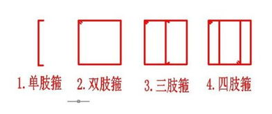 柱子箍筋肢数怎么确定,钢筋应该如何判断几支箍？-第3张图片