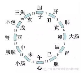 如果丑时 1 3 失眠您知道该按哪个穴位吗 