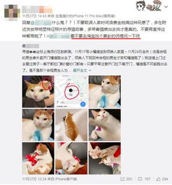 算命卜卦 剪刀大法 这些找猫玄学真的有用吗 