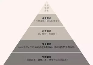 在新媒体时代，微信、微博、知乎等媒体平台占据流量高峰浪口，快手是如何崛起的？