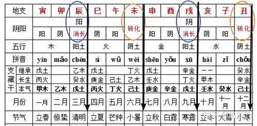 地支藏干的规律 与 地支的阴阳变化 