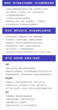 新媒体运营实训实验报告,掌握新媒体运营实战技能，打造高效实验报告