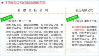 有限责任公司的股东有权查阅哪些公司文件?