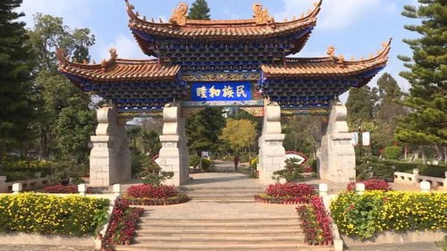 最新消息 楚雄峨碌 龙江 太阳历公园已经开放,其它公园陆续开放