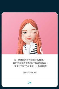 zepeto打不开怎么回事 zepeto非正版进不去解决方法