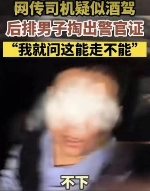 《老马迷途》的典故