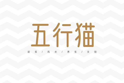 五行猫文字logo