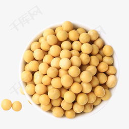 东北农家自种小黄豆素材图片免费下载 高清产品实物png 千库网 图片编号7928386 