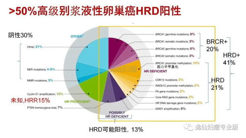 基因检测在妇科肿瘤中的应用