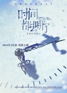 时间都去哪了 曝概念海报 定档2月初上映