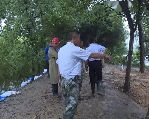 紧急 堤岸 险情