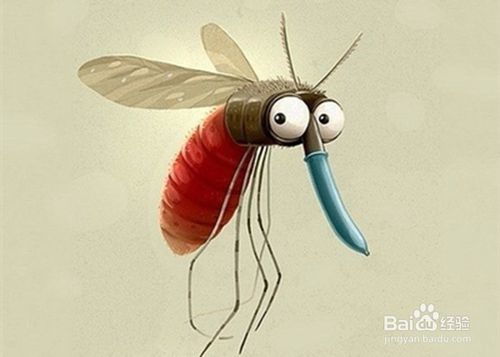 夏天应该怎样防蚊 