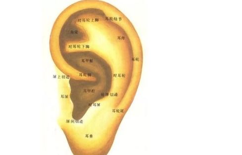 重庆渝北加州惠耳听力助听器验配服务中心分享 天气变了如何保护听力