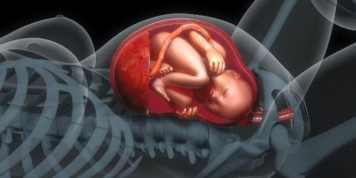 孕早期,这个检查孕妈尽量别忽视,或许要跑很多趟,一些孕妈中了