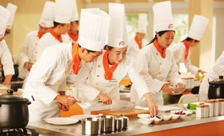 蚌埠学厨师学费,学厨师一般要多少费用？