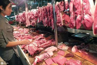过年猪肉会不会涨 现在买猪肉冻着过年吃可取吗 看看专家怎么说