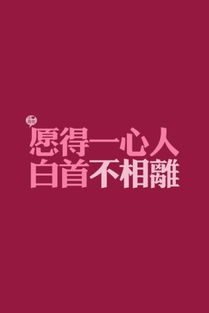 愿得一人心 白首不相离 信息图文欣赏 信息村 K0w0m Com