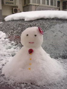 snowman雪人组合,雪人的英文翻译