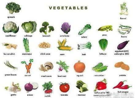 常见的蔬菜种类100种,100种常见蔬菜大揭秘