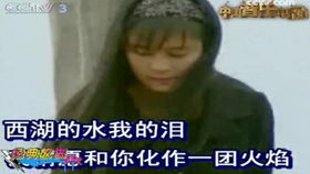 中国音乐电视2009年第8期,国际化的音乐风格