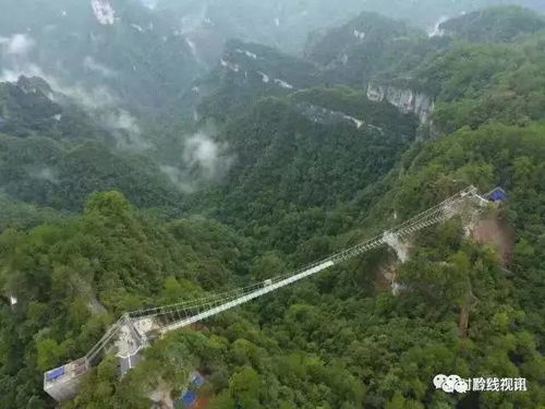 营山县哪些景点好玩又省钱 (营山县出行提醒电话是多少)