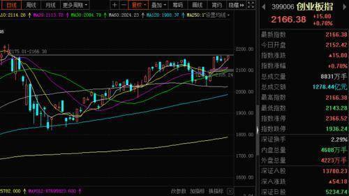 我的环保5退市前有3000股，如果上市是不是股票的股数不变