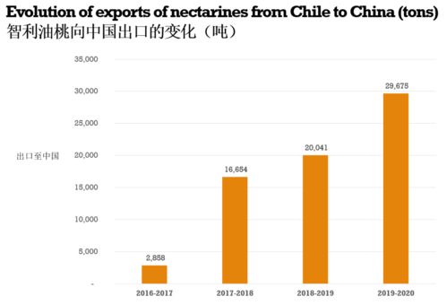 2020 2021产季智利西梅进口量有望稳步增长