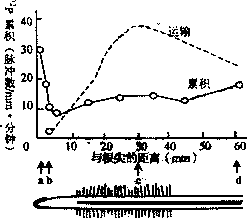 无机盐的作用是什么,无机盐的作用 共4点-第2张图片