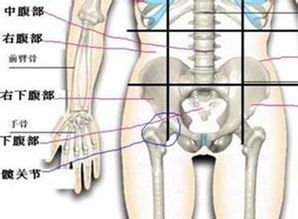 直腿筷袜 腿型不正 难看 从根源矫正它 