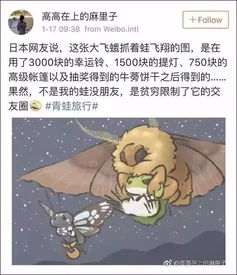 为什么我的青蛙还不回家... 