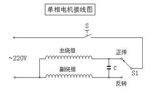 电机上有4根线除一根地线还有白棕蓝三根线各表示什么意思