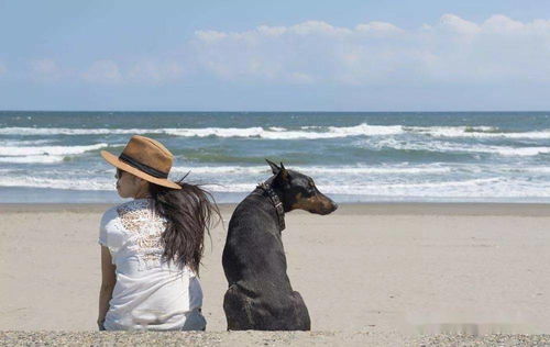 适合2 7人,深圳较场尾,吹着轻柔的海风,带着狗狗漫步在沙滩上