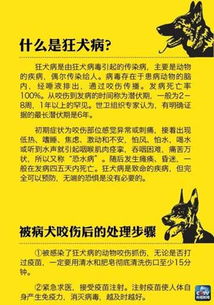 卫生突发事件 北京已报告7例狂犬病患者6人死亡 