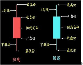 我想学买进股票怎么买呢