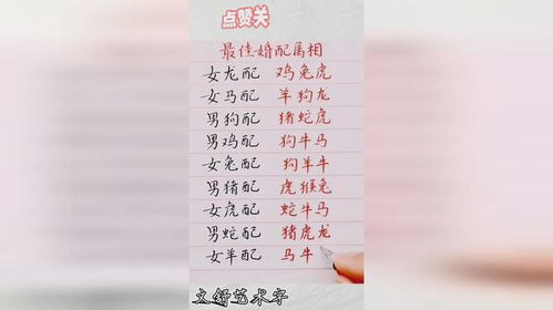 婚配属相,十二生肖最佳婚配表是怎样的？