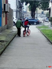 爷爷教孙女骑自行车 竟然用公共自行车练习 