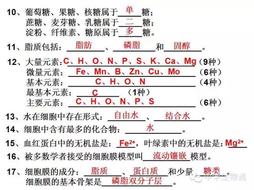 高中生物必修1 3基础知识检查清单, 重难点一篇全掌握 