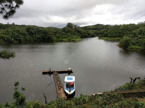 风圯水库钓鱼天气 风圯水库气压预报 风圯水库天气预报 钓鱼之家 