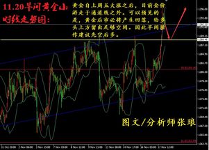 张琅琅：这两类人不能炒股票，为什么炒黄金