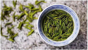 初夏的日子 怎能错过一杯绿茶