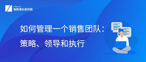 如何管理一个销售团队 策略 领导和执行