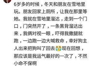 说说你这辈子运气爆棚的一次经历 馅饼太大,砸的我好痛 