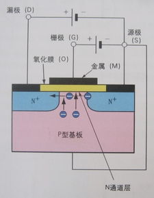 fet是什么意思中文,FET的结构。