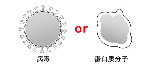 与我国灭活疫苗对比,美国的mRNA疫苗有什么不一样 能拯救美疫情吗