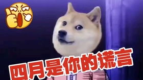  doge狗狗币多少钱一个 USDT行情