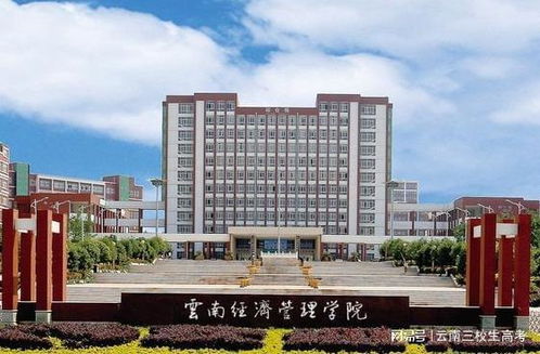 2023年云南三校生可报考哪些学校(云南省三校生什么时候开始录取)