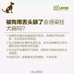 犬证怎么办理 在哪里办 需要什么材料