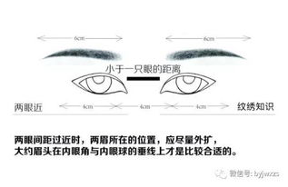 不同眼形与眉形的关系和设计