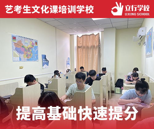 滁州艺考生文化课培训辅导,滁州市最好的画室  滁州市黑土地画室